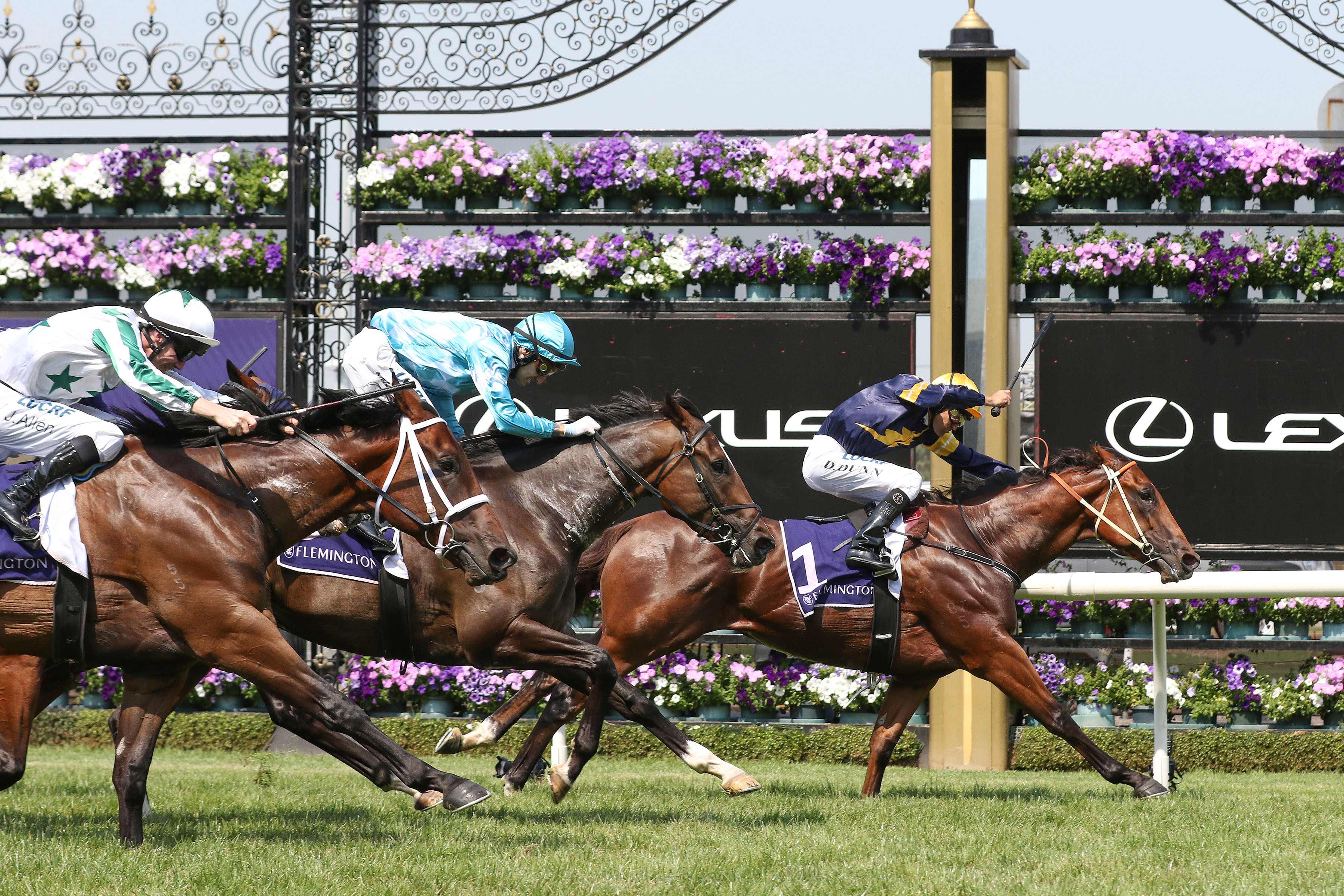 Racing Victoria release race dates for 2019/20 season Sports News