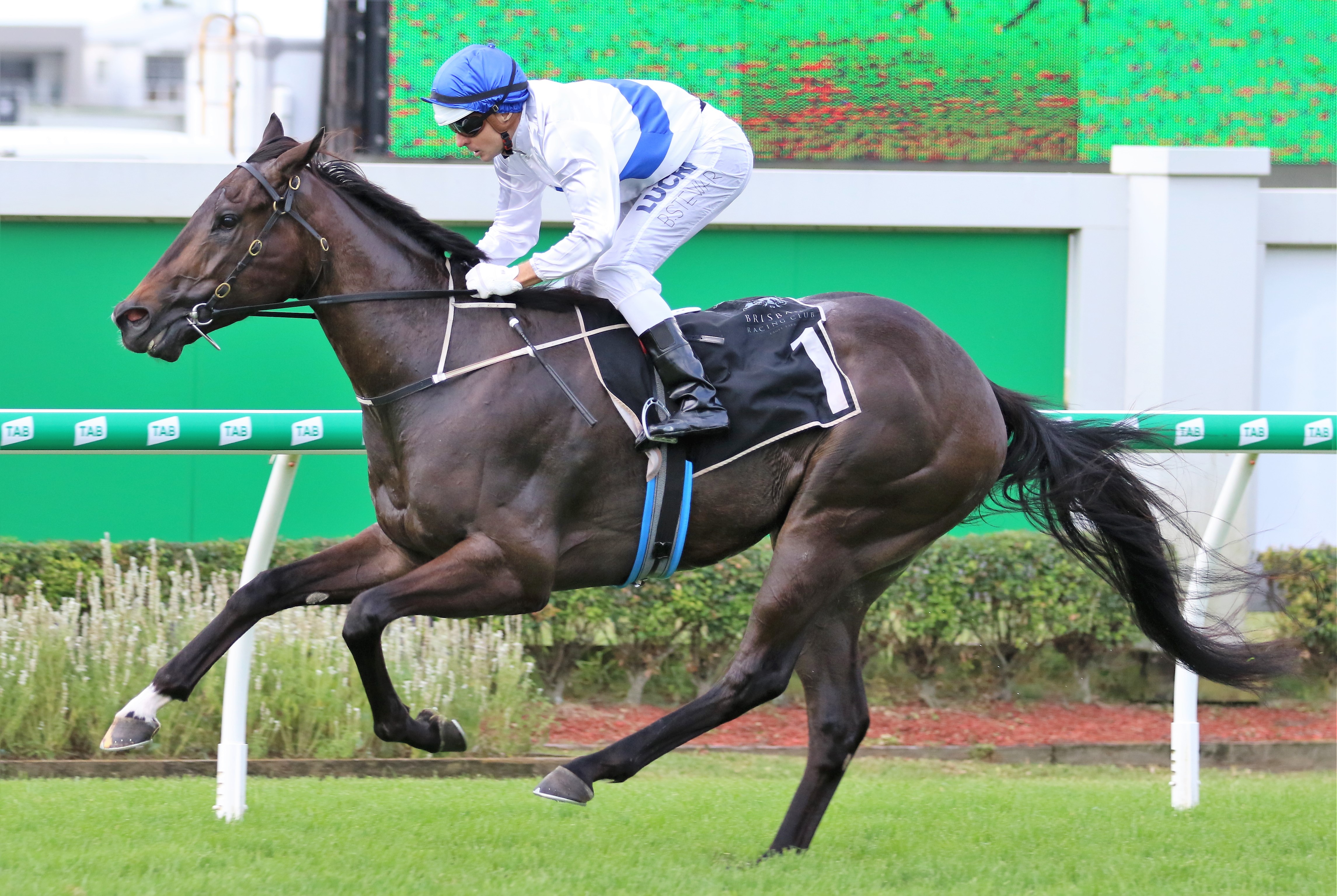 group-one-nominations-closing-for-brisbane-racing-carnival-sports