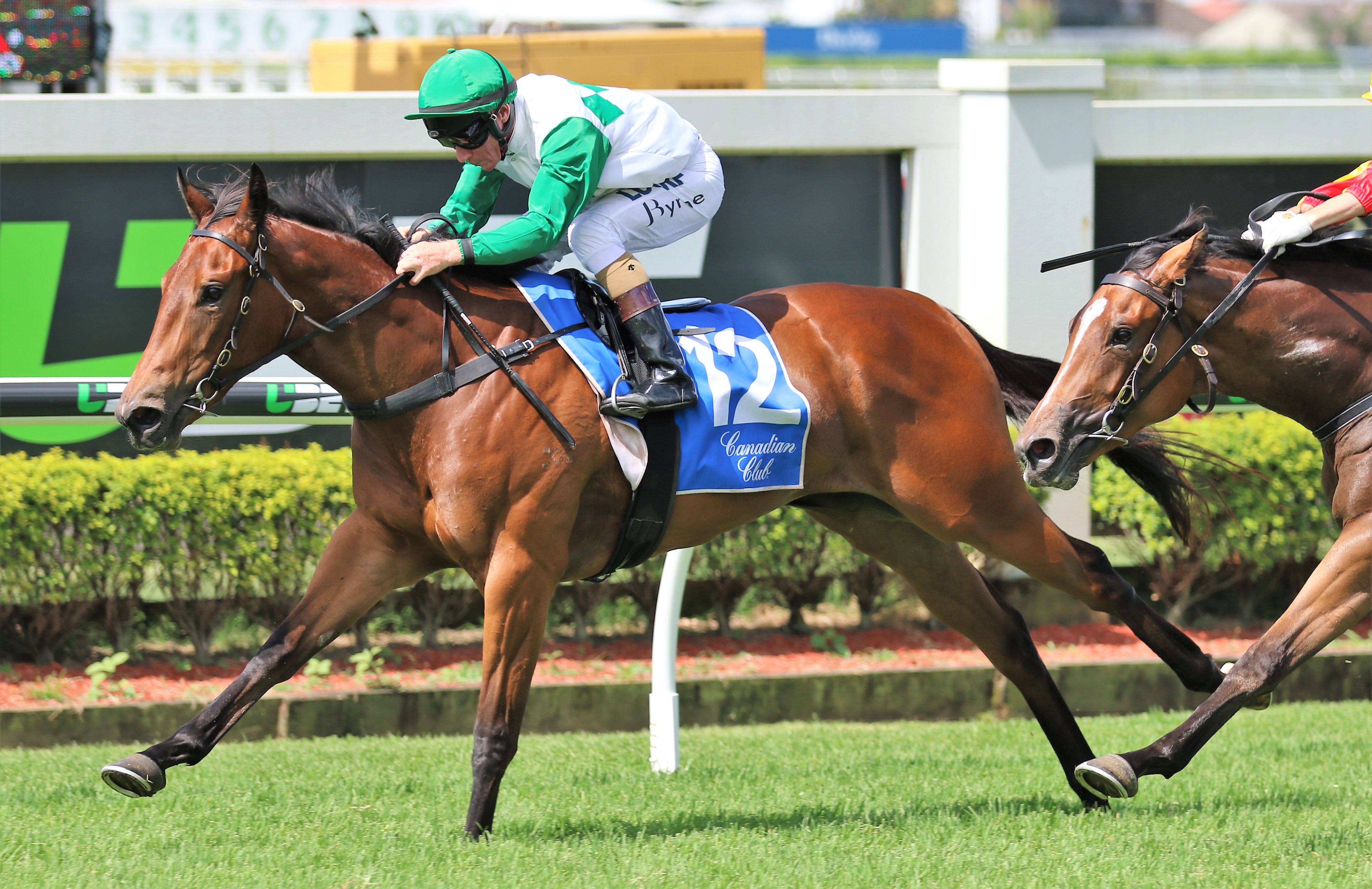 Outback Barbie chases history in Doomben 10,000 | Sports News Australia