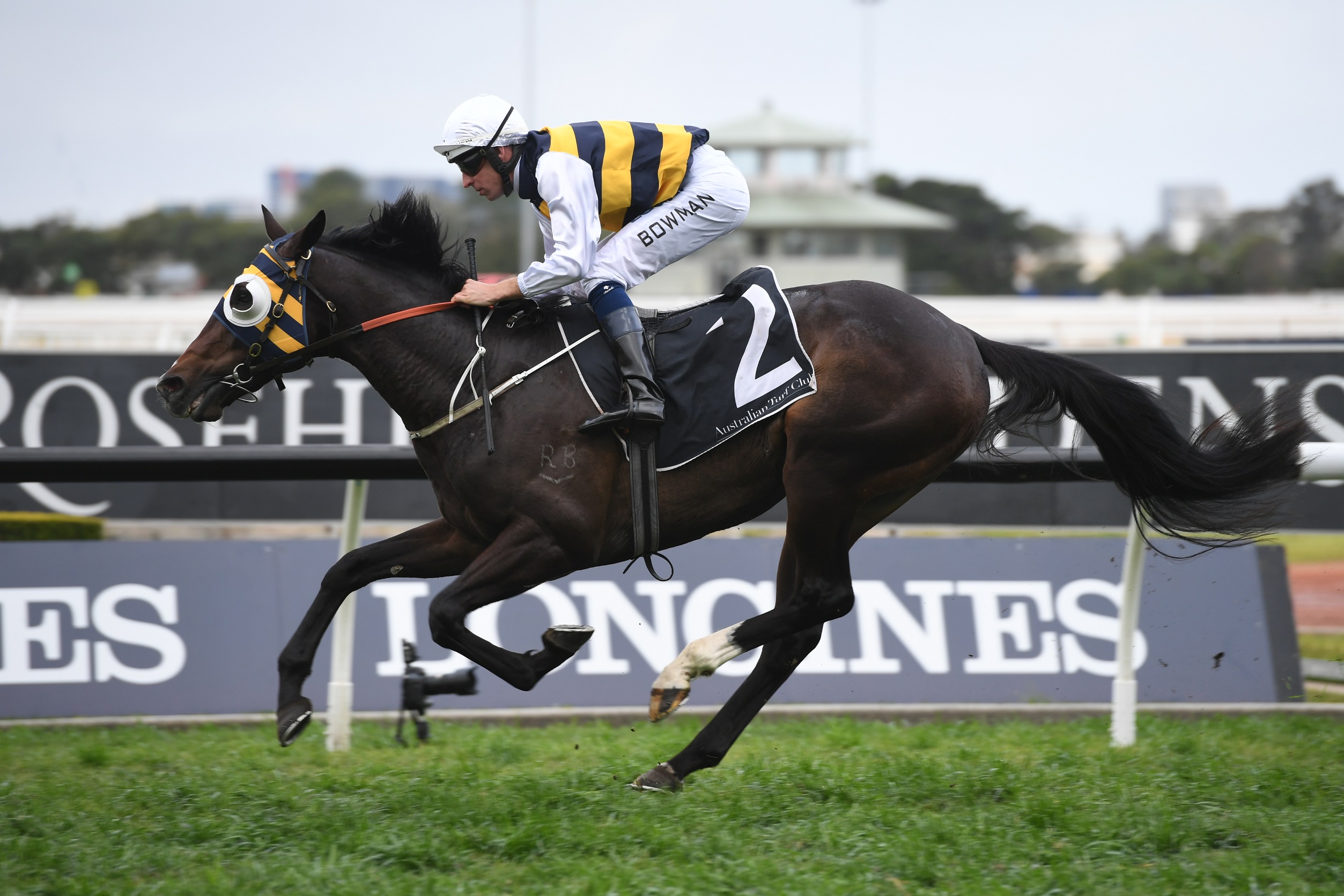 quick-thinker-to-be-targeted-at-spring-champion-stakes-sports-news