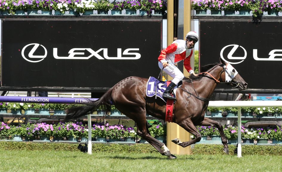 Mystic Journey Headlines 2019 Cox Plate Acceptances Sports News Australia