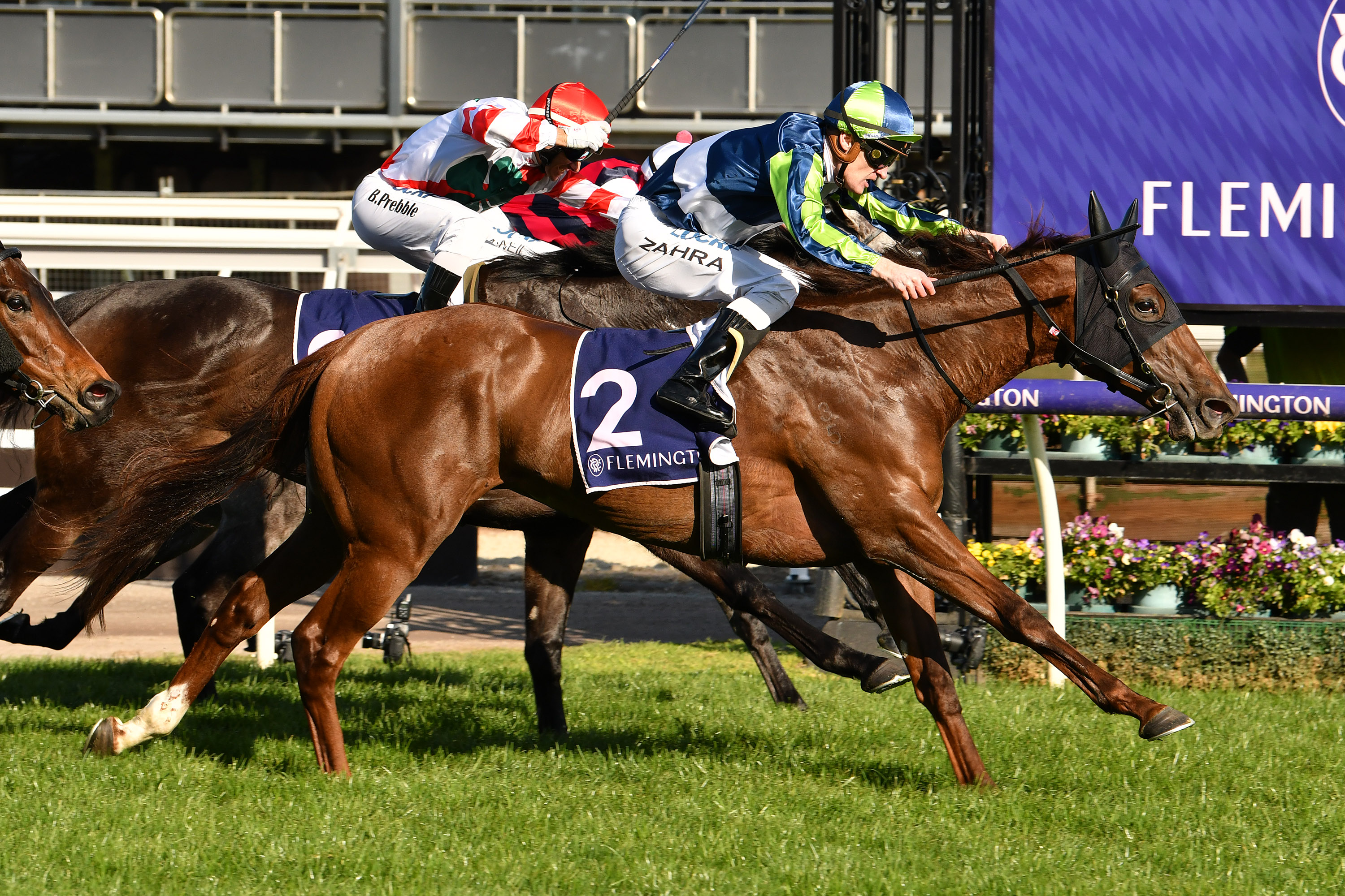 Coolmore Classic Tips, Field Preview and Selections – 2020 | Sports ...