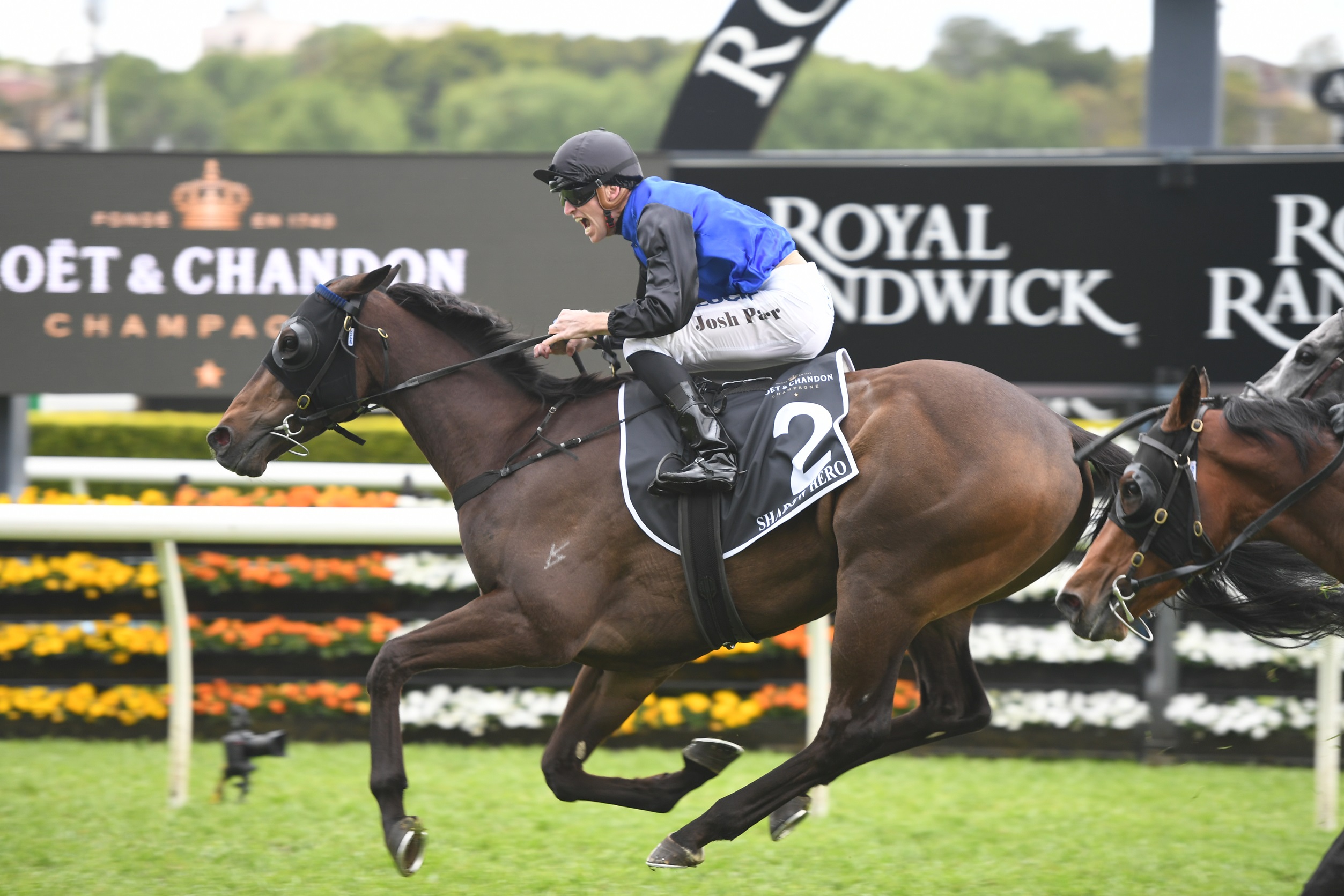 Victoria Derby day Tips and Bets Flemington Races 2/11/2019 Sports