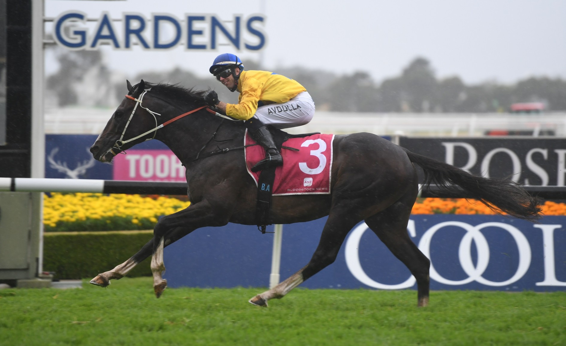 Supernova chasing a 2019 Melbourne Cup entry Sports News Australia