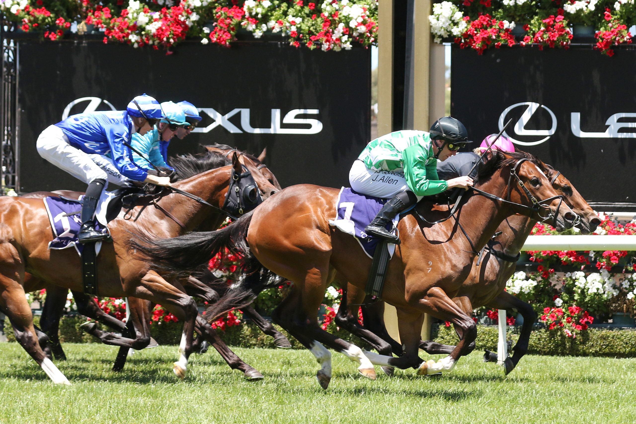 A Beautiful Night to target Blue Diamond Stakes | Sports ...