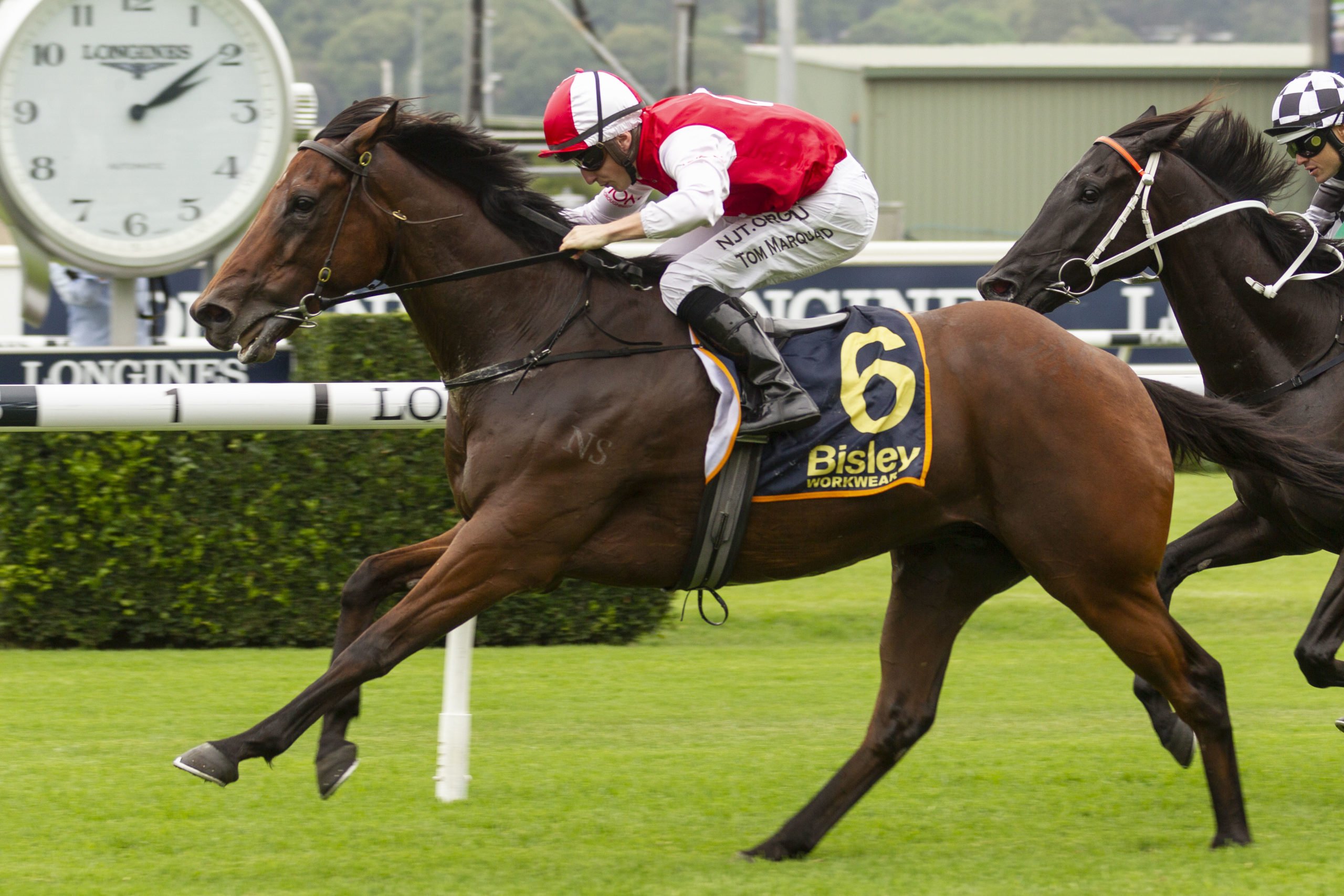 Southern Lad favourite for Carrington Stakes | Sports News Australia