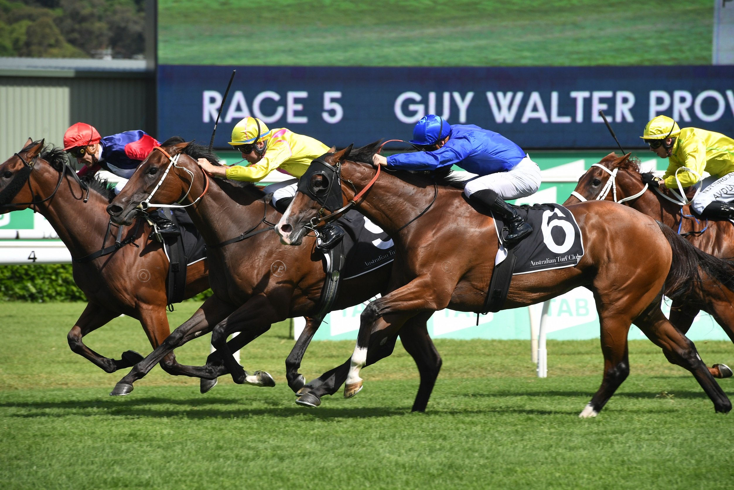 dawn-dawn-earns-g1-coolmore-classic-start-sports-news-australia