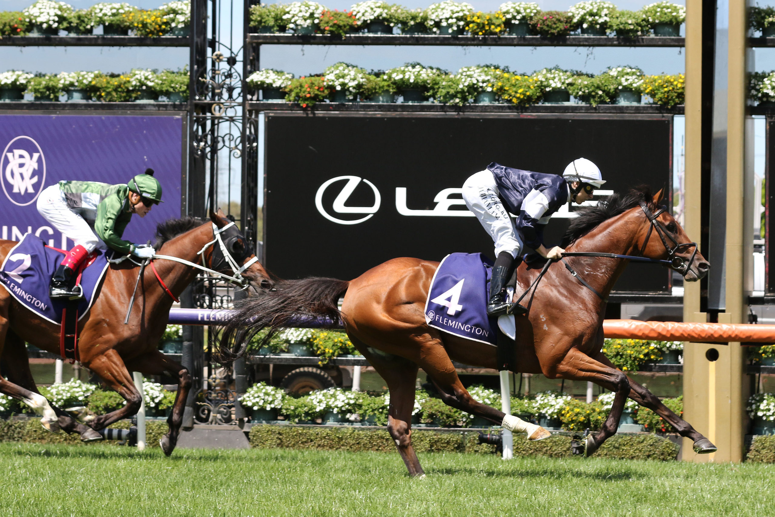 Melbourne Cup winners team up at Flemington Sports News Australia