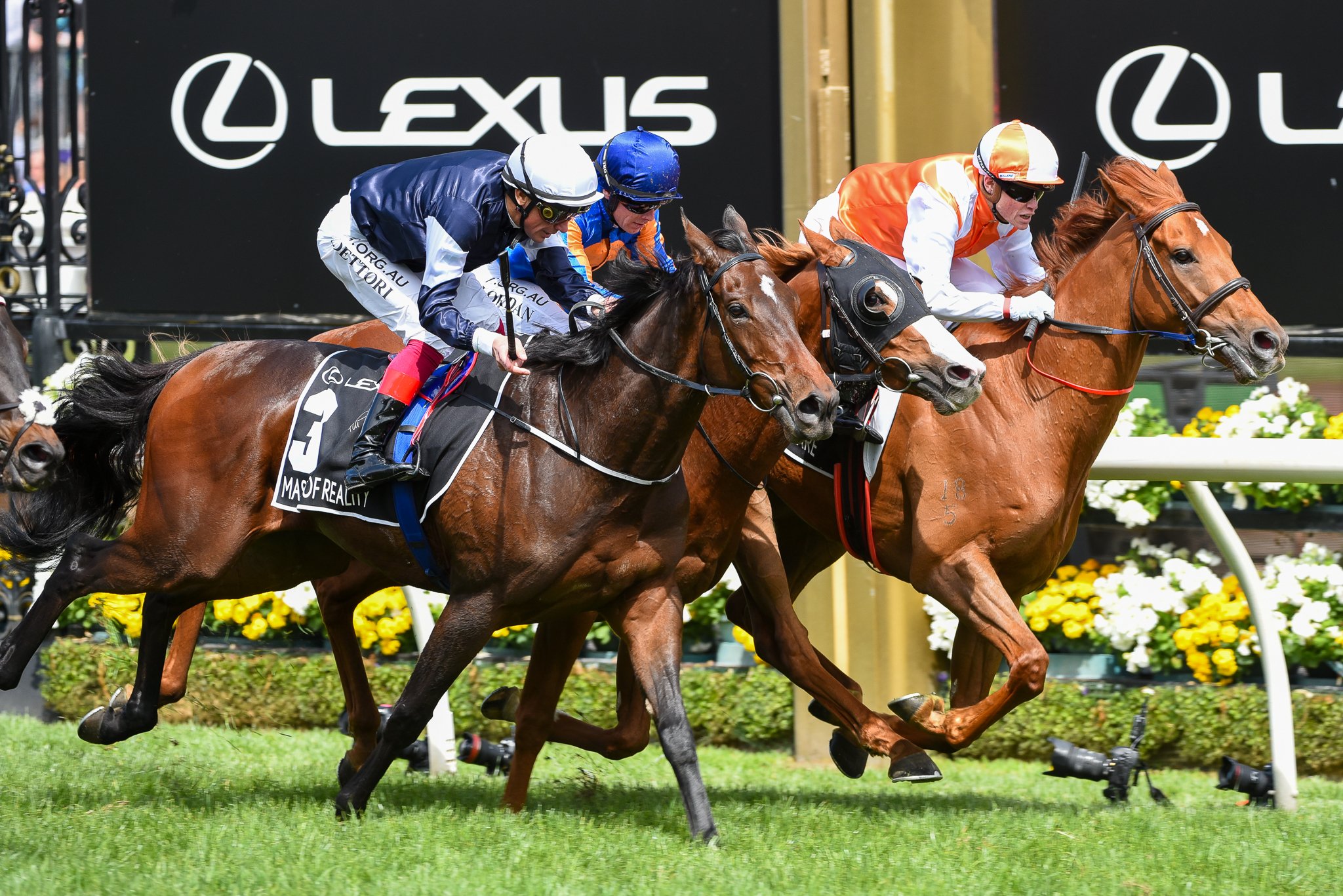 Melbourne Cup winner shines in a raceday gallop Sports News Australia