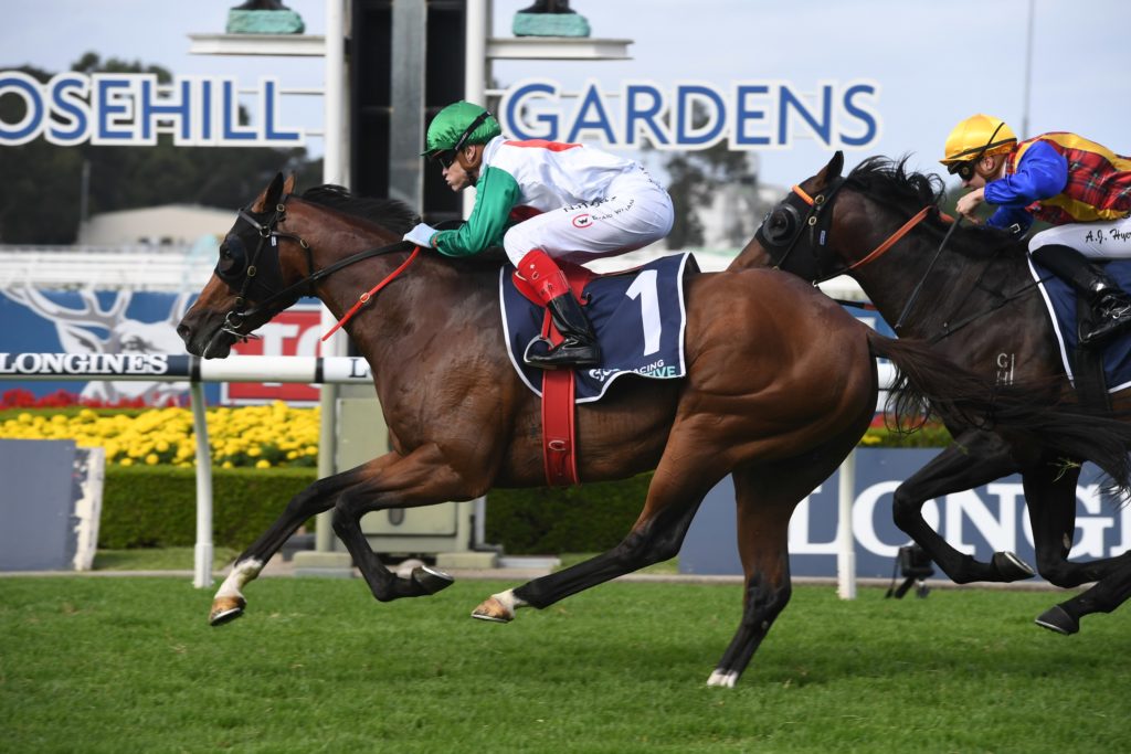 Australian Derby Tips, Field Preview and Selections 2020 Sports