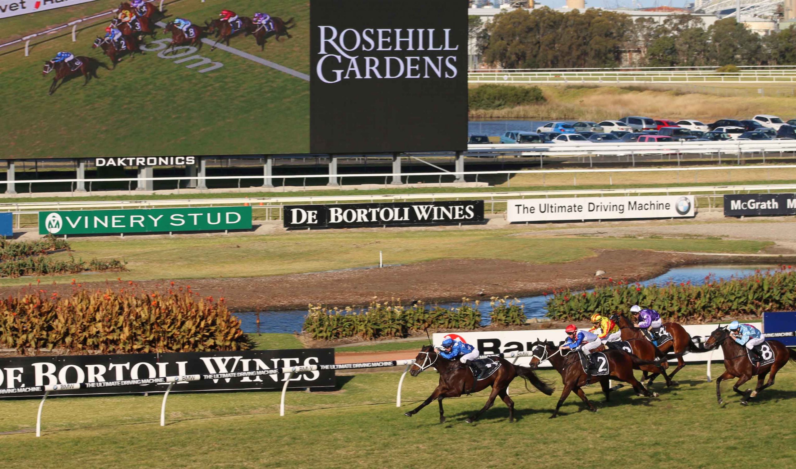 Rosehill Races Calendar - Dolly Meredith