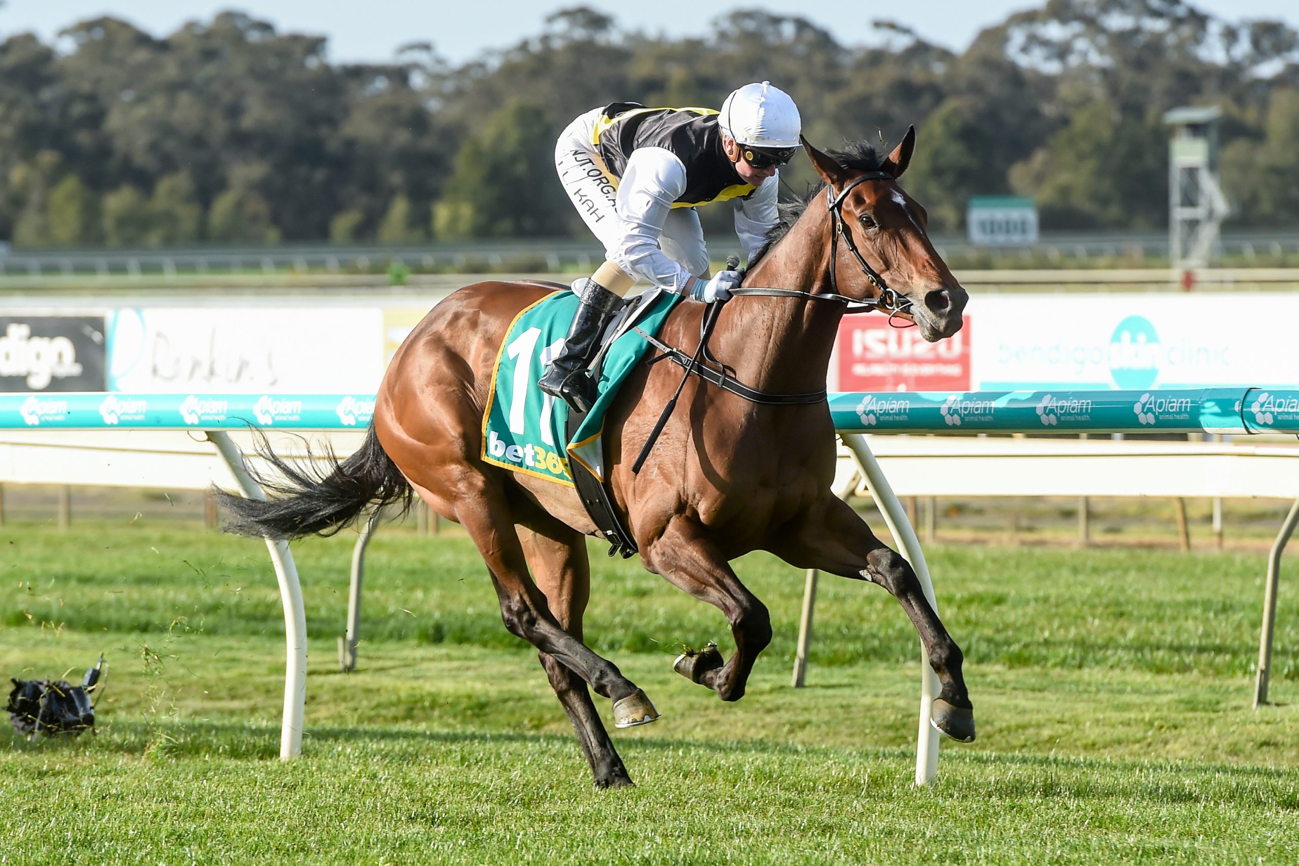 Mozzie Monster emerges as a Thousand Guineas contender | Sports News ...