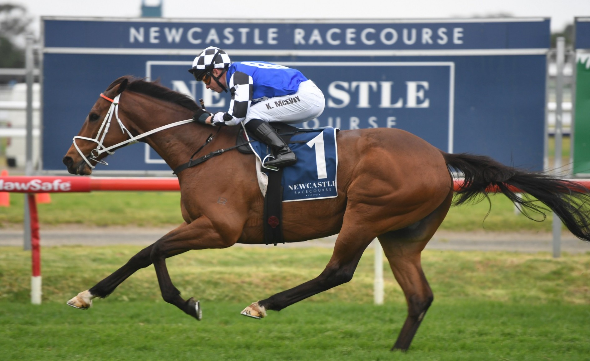 the-metropolitan-handicap-tips-field-preview-and-selections-2020