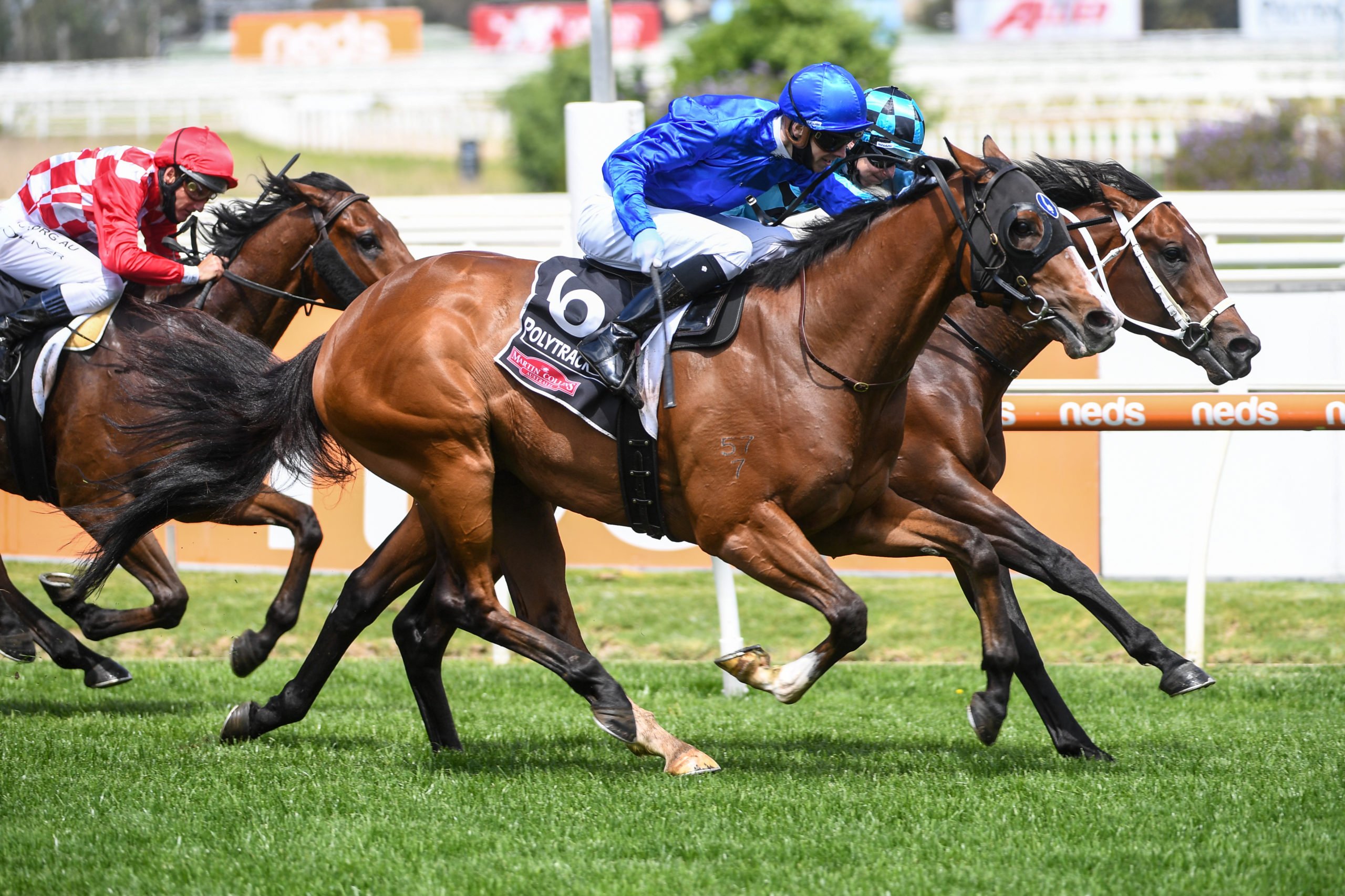 Endanger on track for the Carbine Club Stakes | Sports News Australia