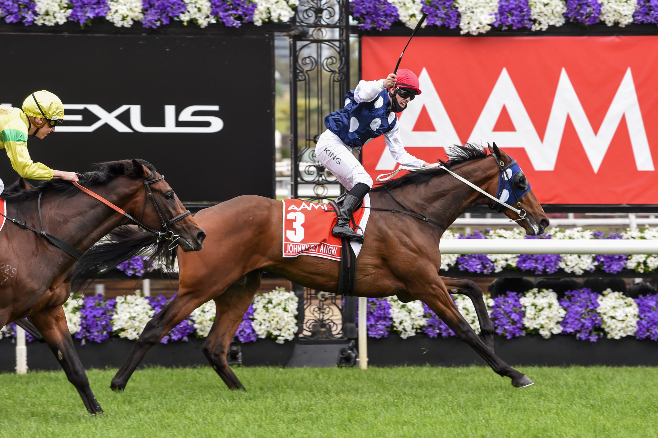 Johnny Get Angry wins the G1 Victoria Derby Sports News 