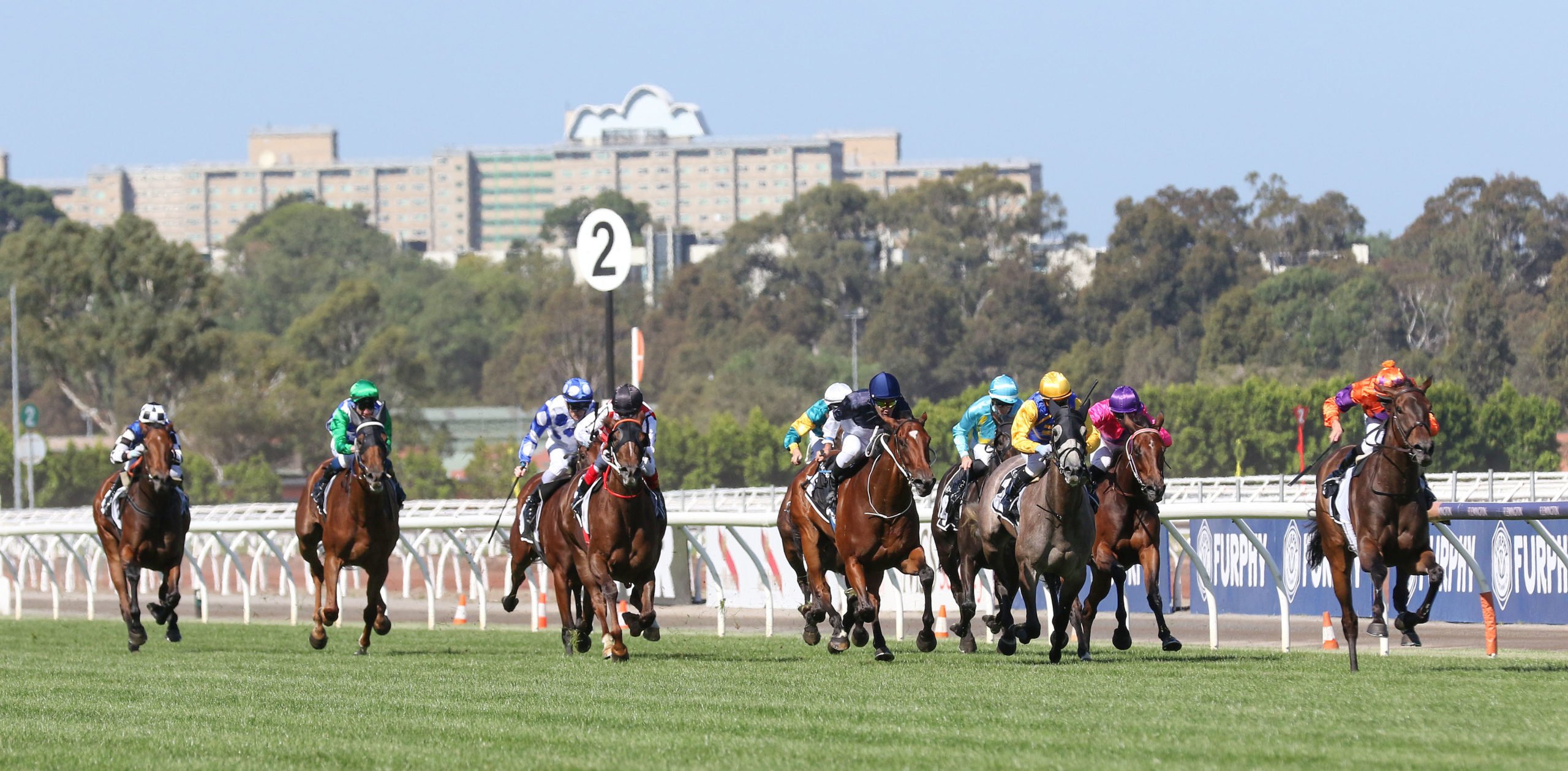Prize money increase called for winter Finals Day at Flemington races