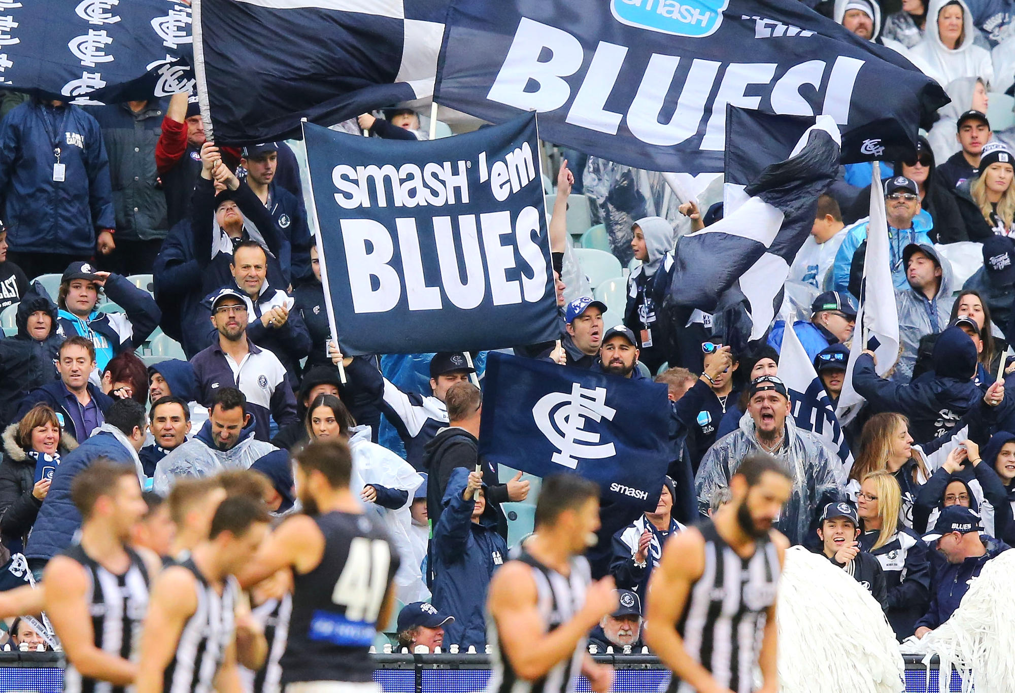 Carlton Blues vs Geelong Cats Tips, Odds and Teams – AFL Round 15 2024 ...