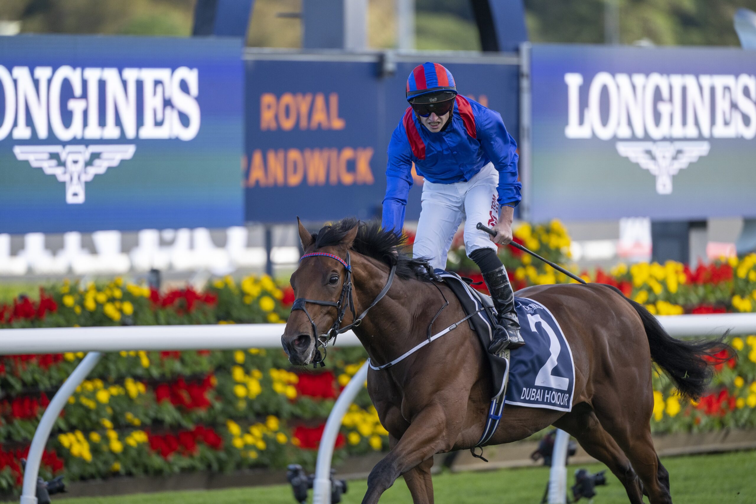 Queen Elizabeth Stakes 2023 Dubai Honour far too good for Anamoe