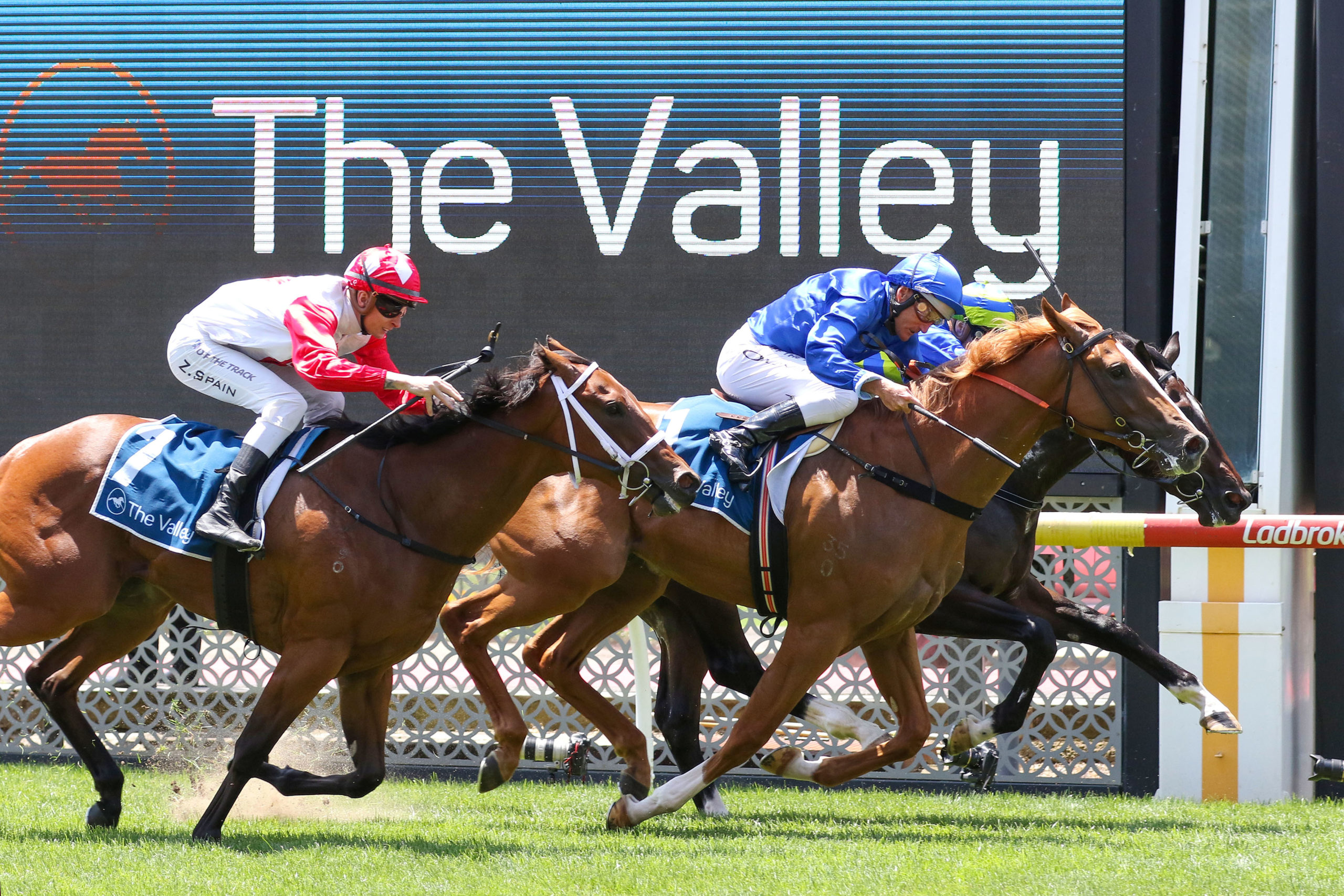 Amur kicks off his 3YO campaign at Moonee Valley