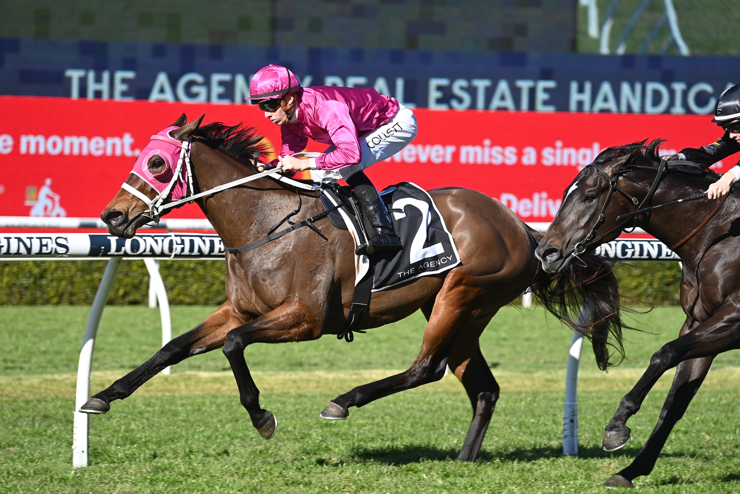 It is a big 3YO day at Rosehill with the San Domenico Stakes 2023 a feature