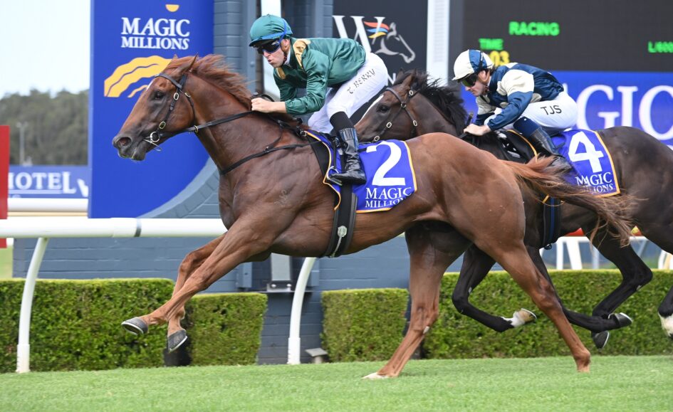 Magic Millions 2YO Classic 2024 A look at the purchase prices Sports