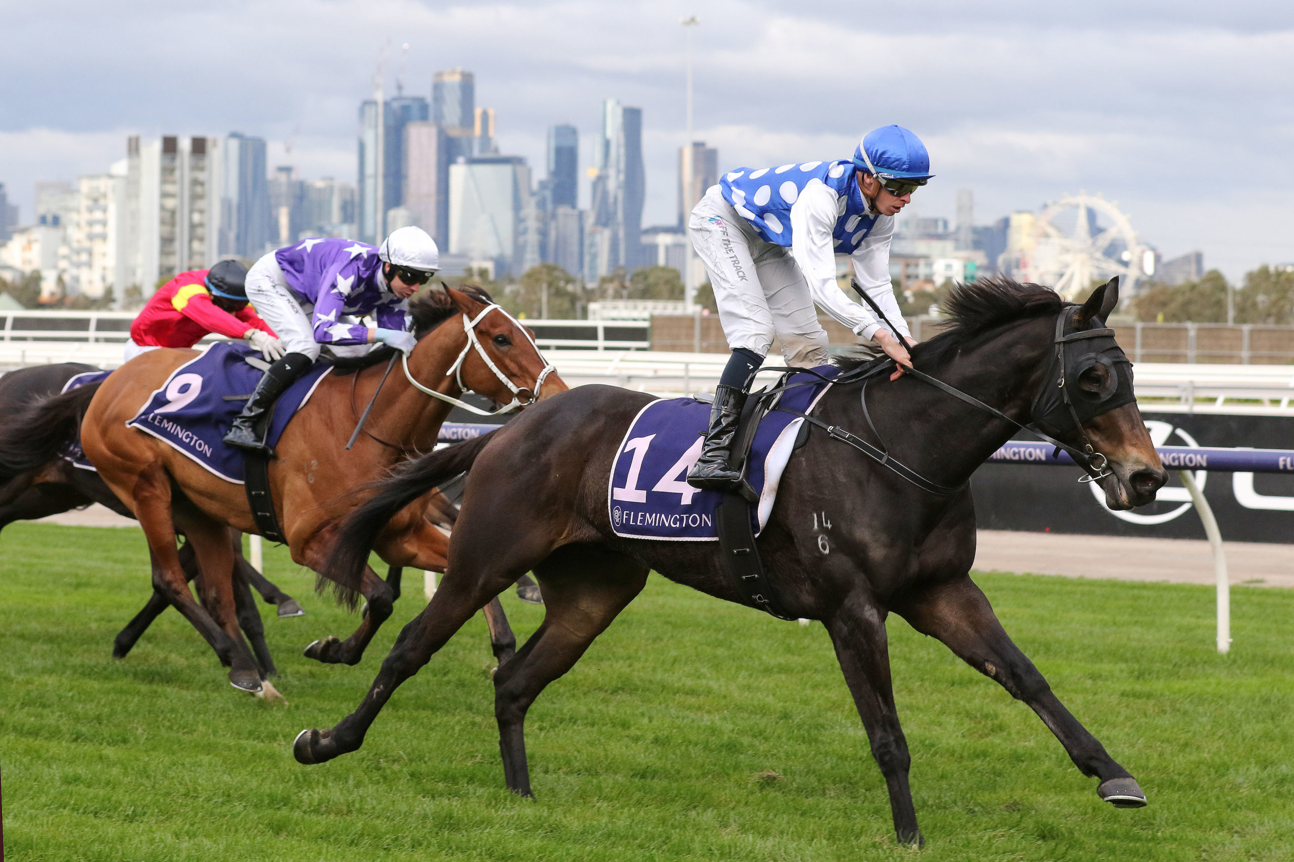 Adelaide Cup Winner Chases Spot In The Melbourne Cup 2024 | Sports News ...