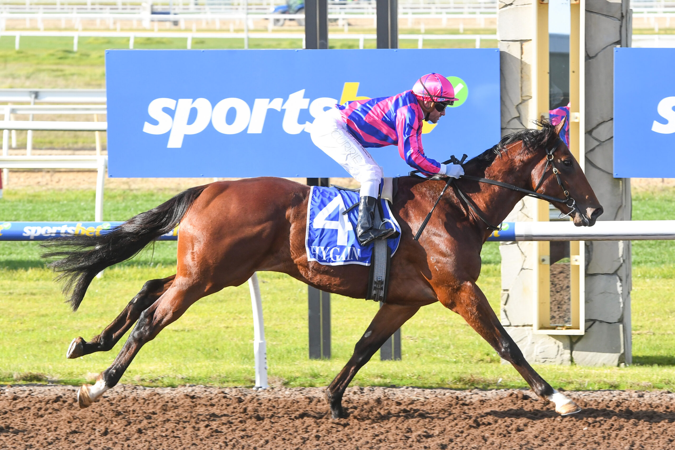 Horse Racing News: Lindsay Park pair chase city wins
