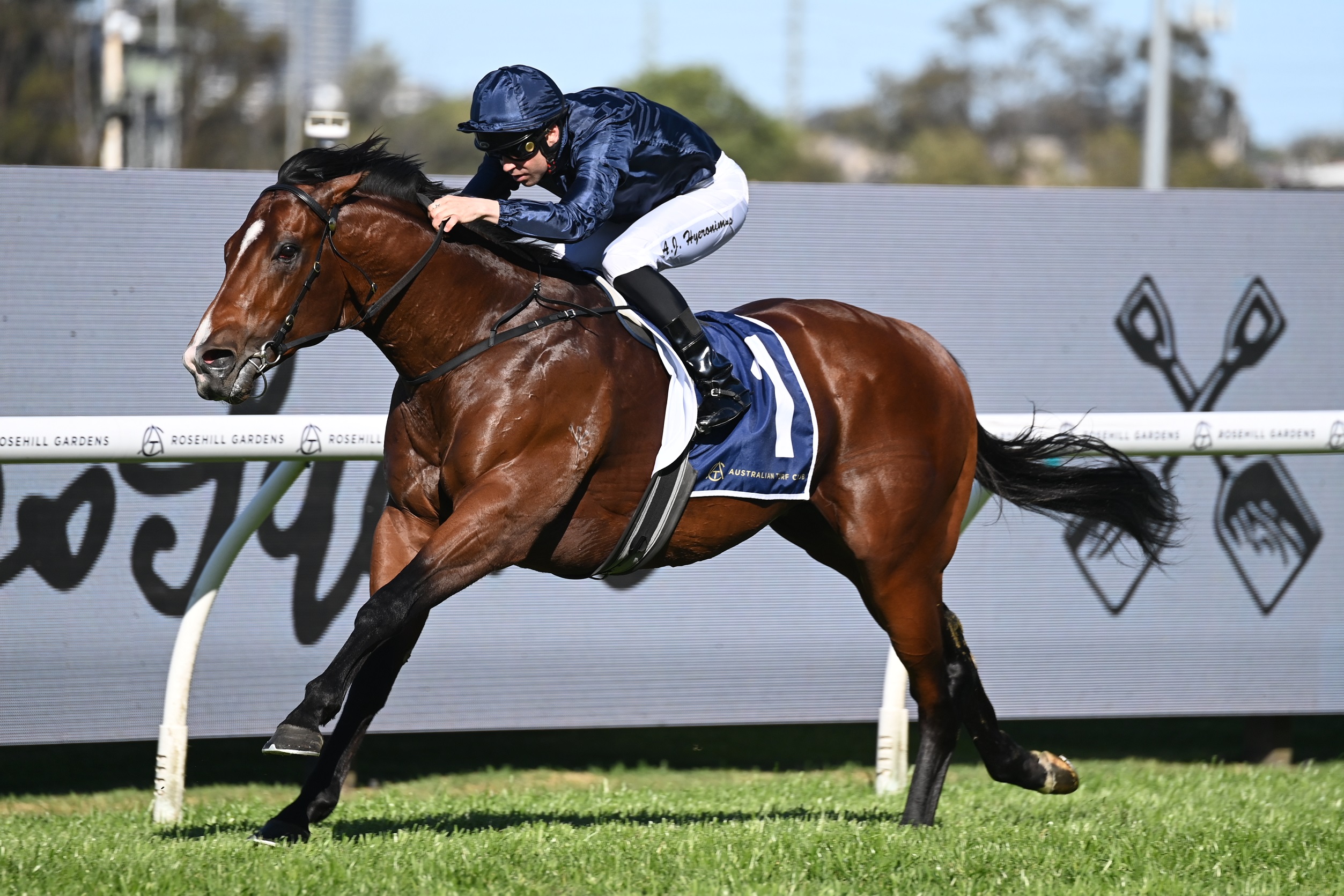 Horse Racing News: Adrian Bott issues Storm warning for Rosehill races