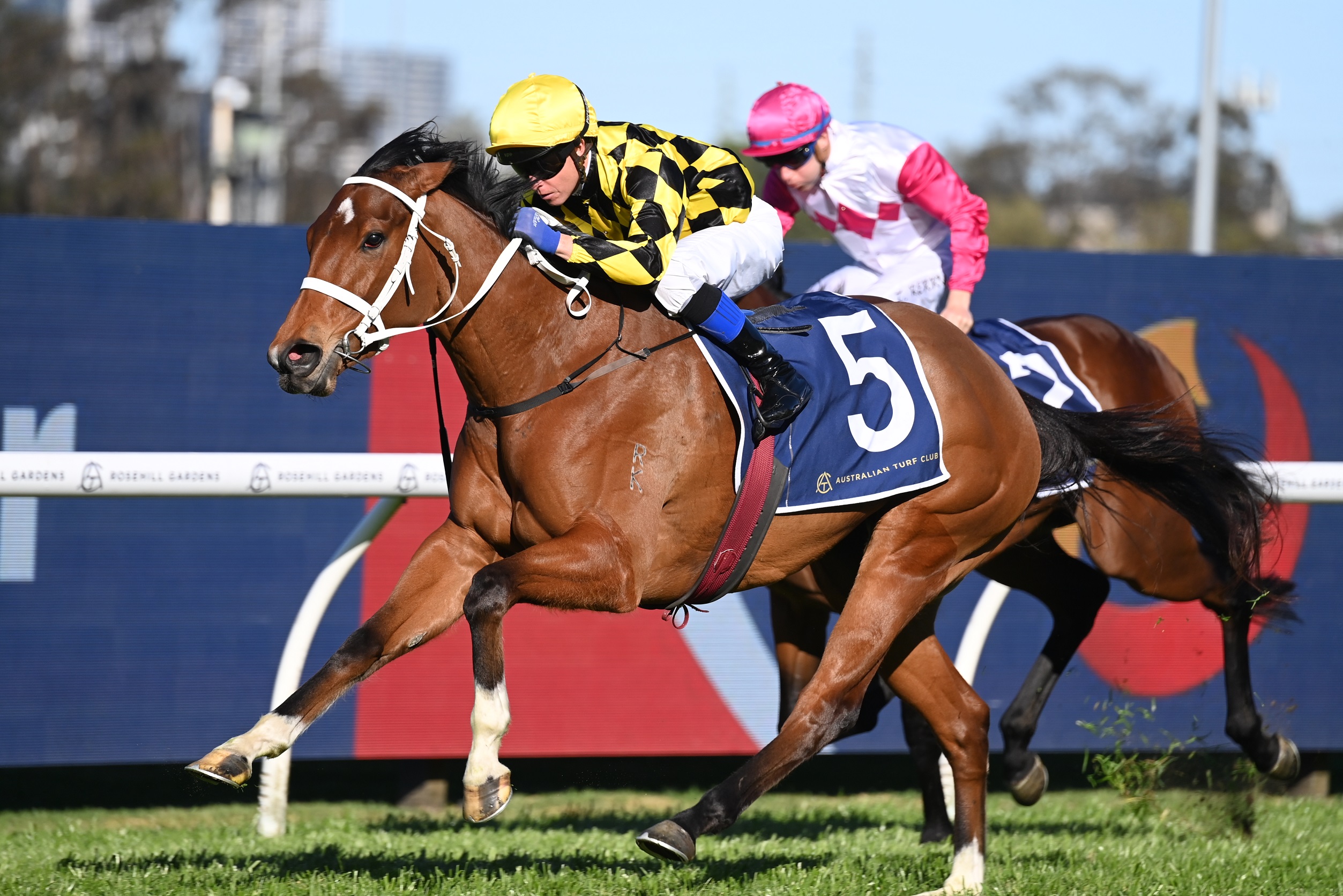 Horse Racing News: Easter sale-topper provides Spring Glow